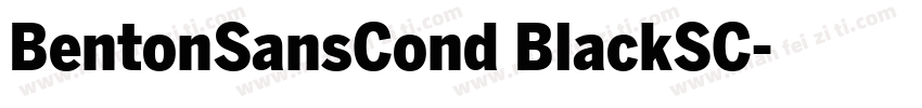 BentonSansCond BlackSC字体转换